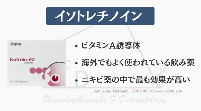 イソトレチノインの説明