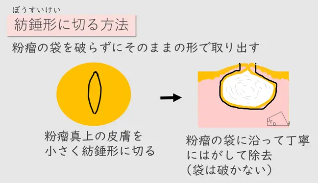 紡錘形に切る方法の説明画像