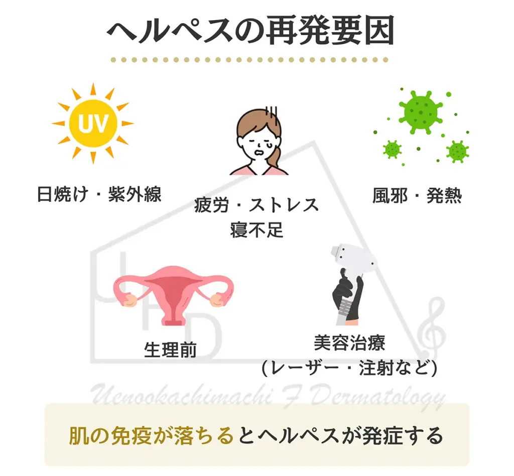 ヘルペスの再発要因