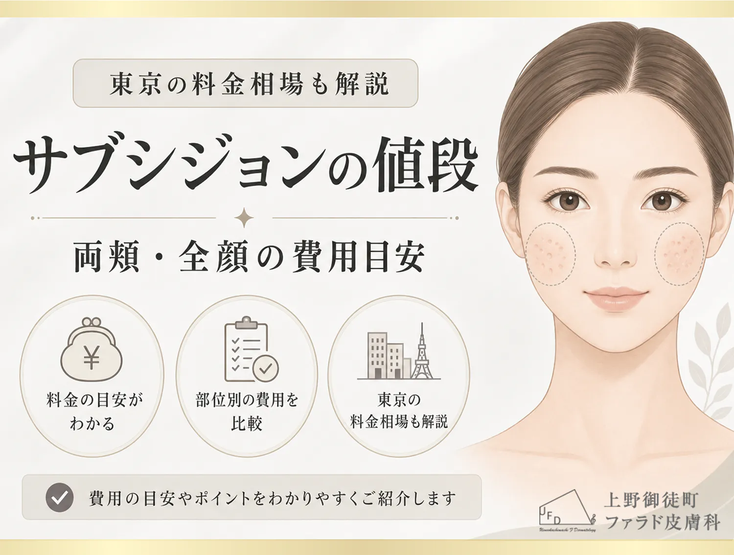 コラム サブシジョンの値段 サムネイル